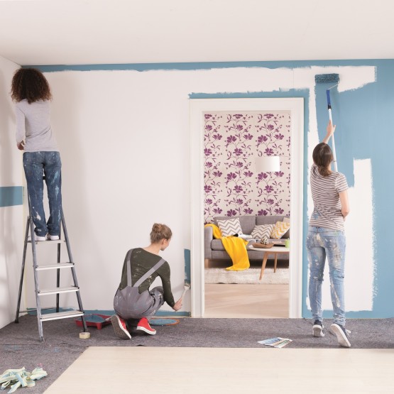 Como elegir el color de pintura ideal » Cómo elegir el color de pintura ideal
